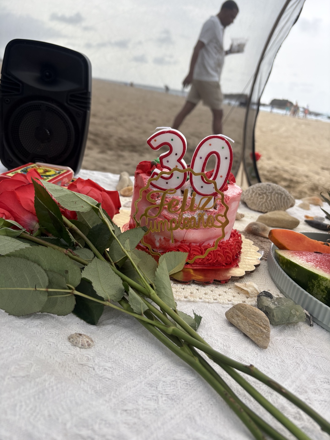 Birthday cake and roses at an Encanto celebration picnic